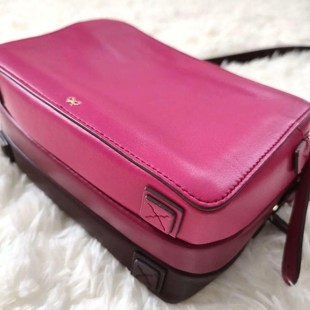 【アニヤハインドマーチ】トリオ ショルダー バッグ