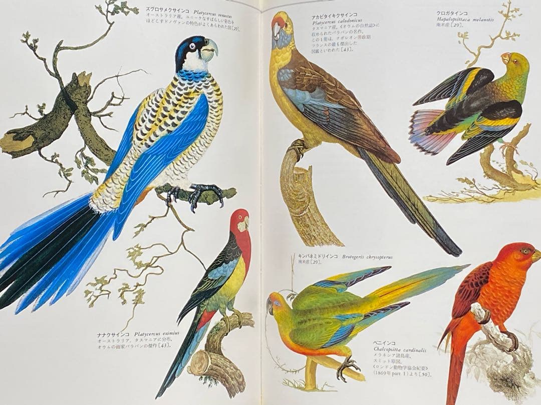 世界大博物図鑑（平凡社）全5巻