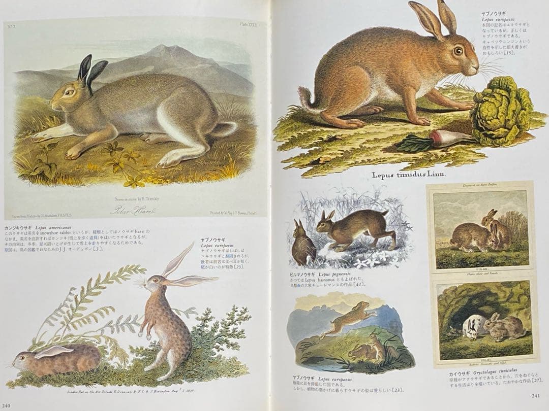 世界大博物図鑑（平凡社）全5巻