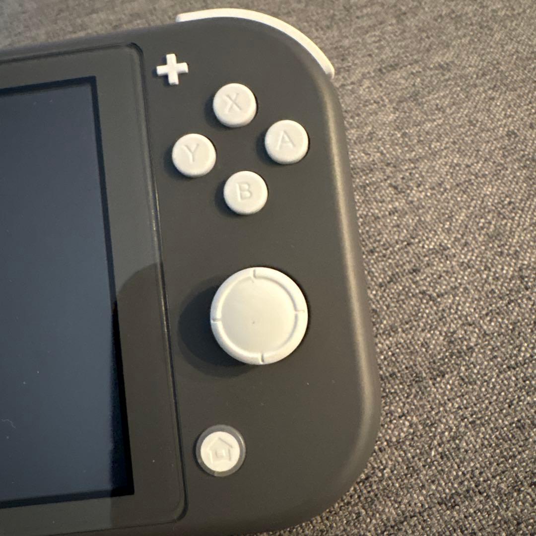 H*O様 Nintendo Switch Lite グレー + MARVELケー