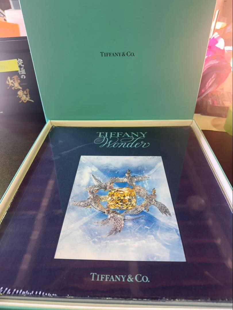 g1654 Tiffany ティファニーワンダー ブック 未開封