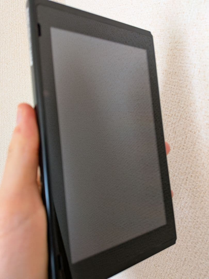 Nintendo Switch 本体＋オプション