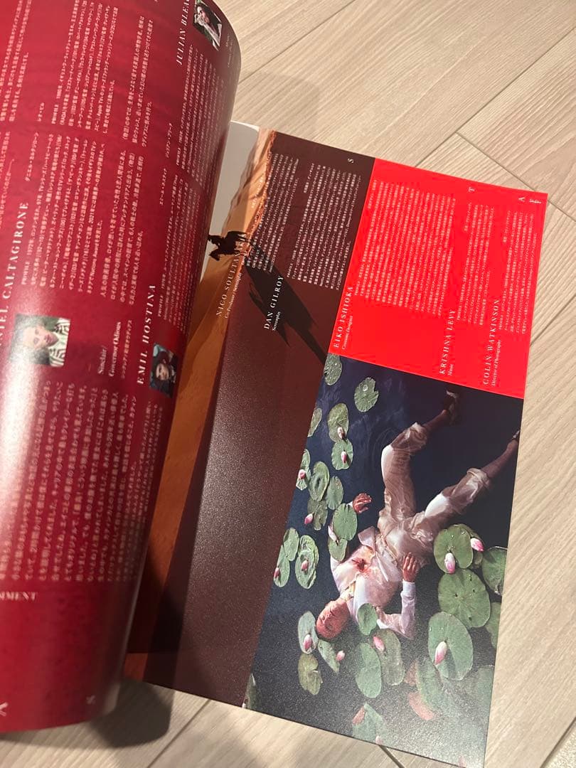 The Fall 落下の王国　DVDとパンフレットのセット