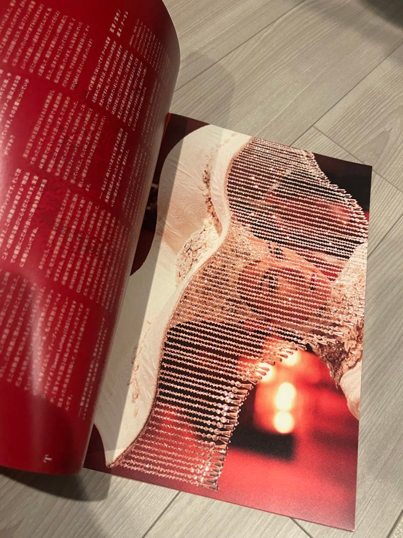 The Fall 落下の王国　DVDとパンフレットのセット