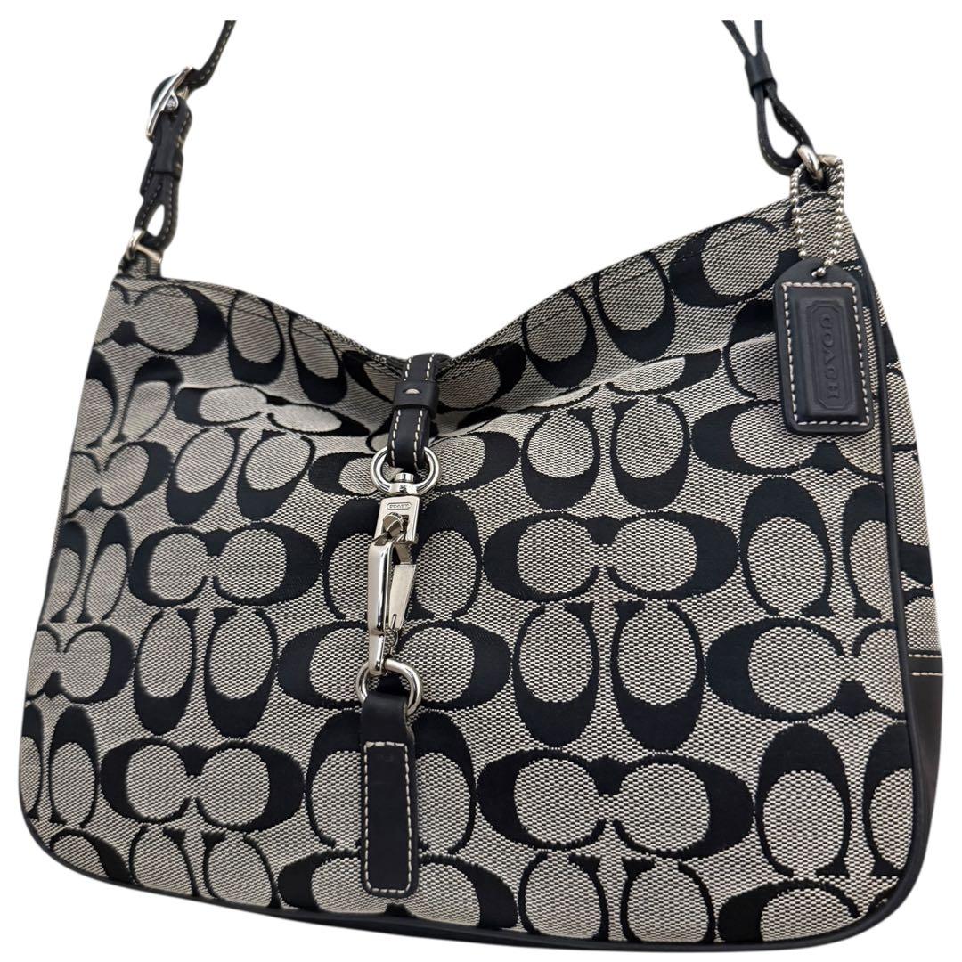 希少✨COACH ワンショルダーバッグ アクセサリーポーチ シグネチャー　肩掛け