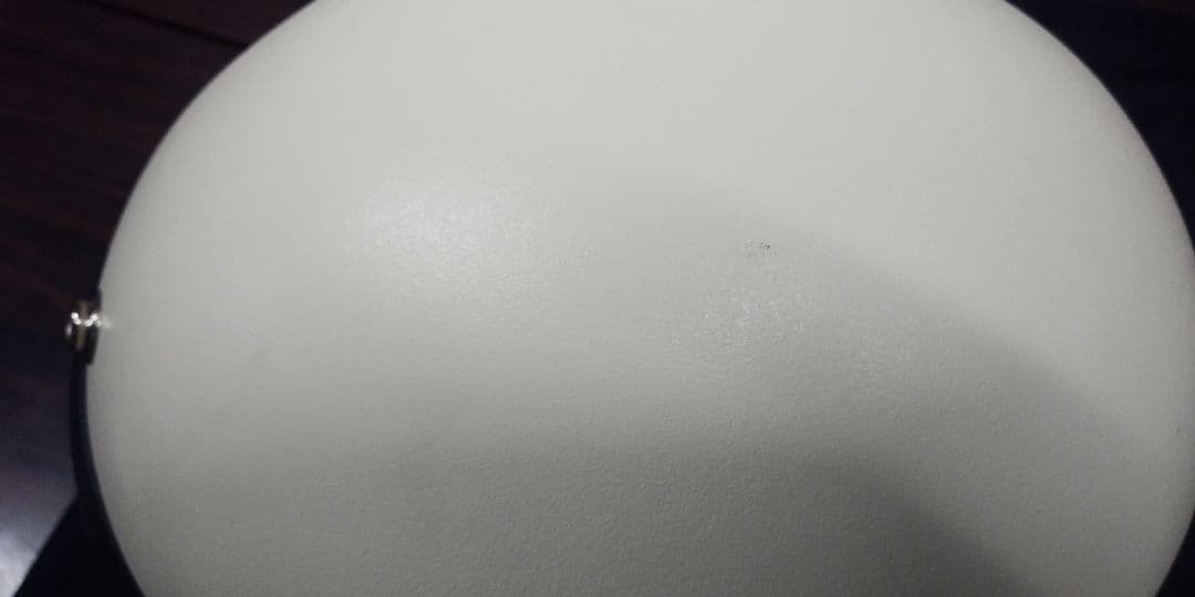 オーシャンビートル　LAC 別注　ダブルストラップ　ペイズリーインナー