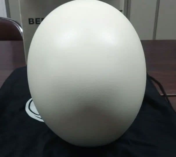 オーシャンビートル　LAC 別注　ダブルストラップ　ペイズリーインナー