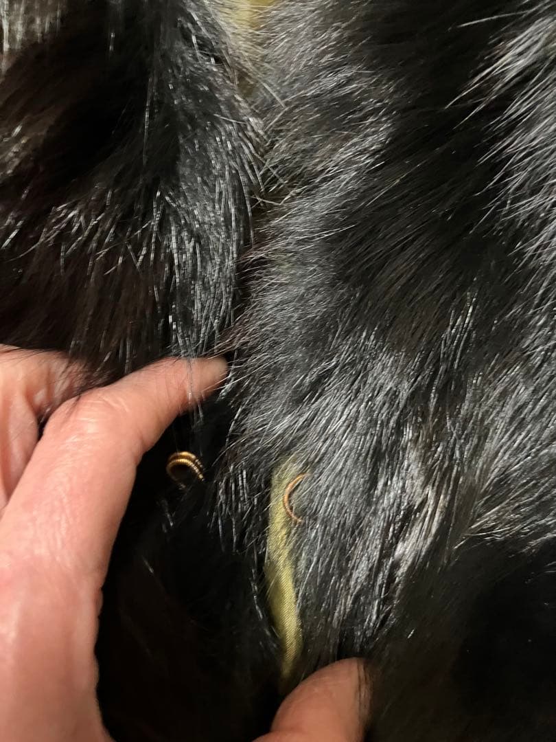 ★OZOC★フォックスファージャケット・袖リブニット（黒・38）