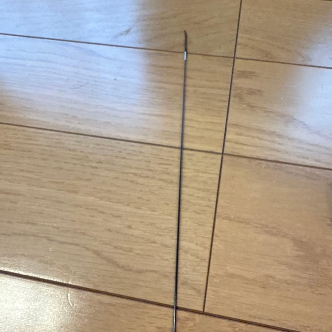 ダイワ春渓　渓流竿 6.1M ケース付き