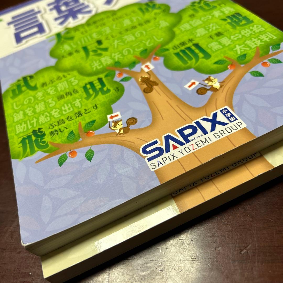 22-23d SAPIX ほぼ未使用　サピックス　言葉ナビ　上巻　下巻　重要教材