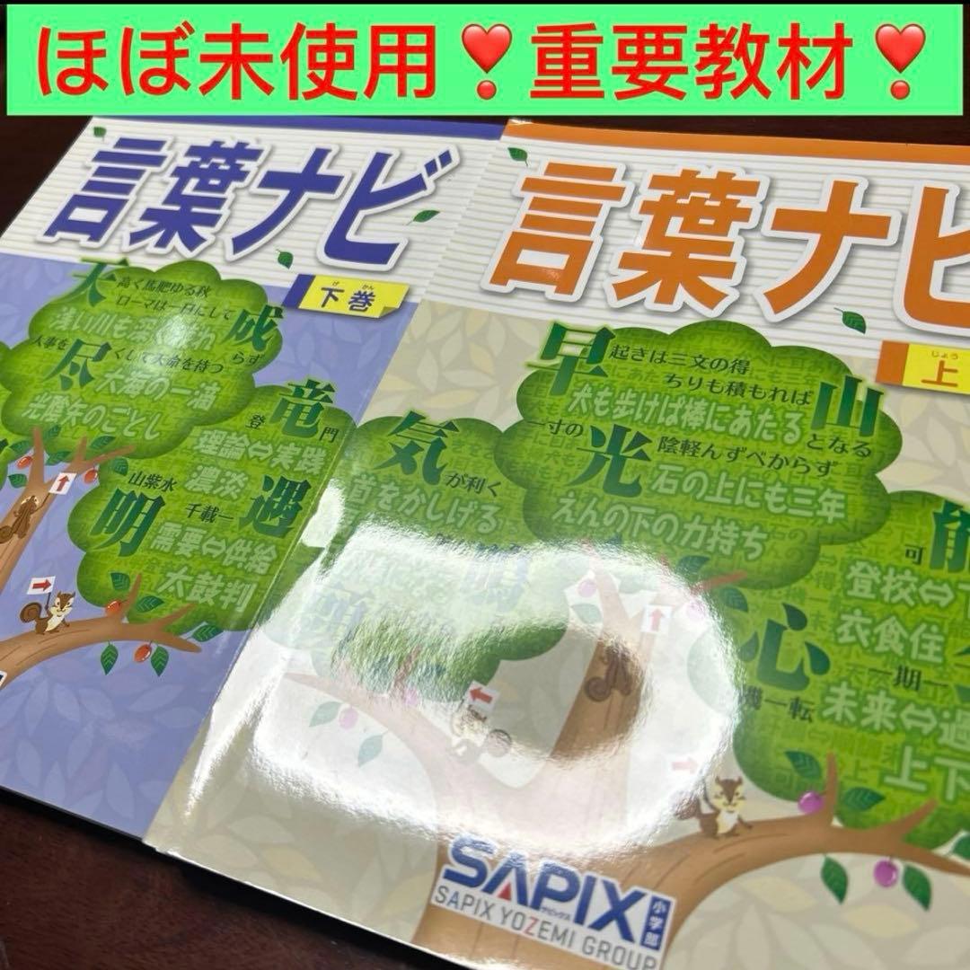 22-23d SAPIX ほぼ未使用　サピックス　言葉ナビ　上巻　下巻　重要教材