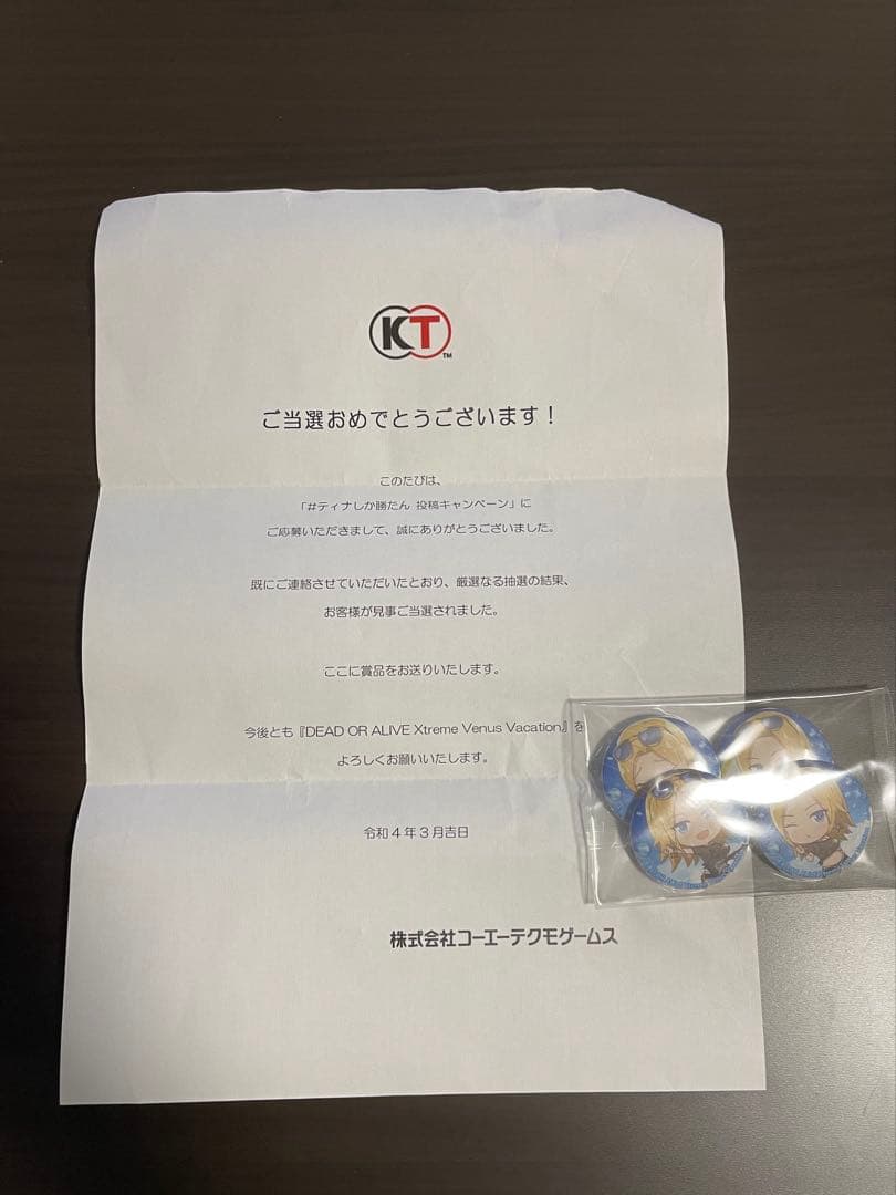 【非売品】DOAXVV ティナ 缶バッヂ