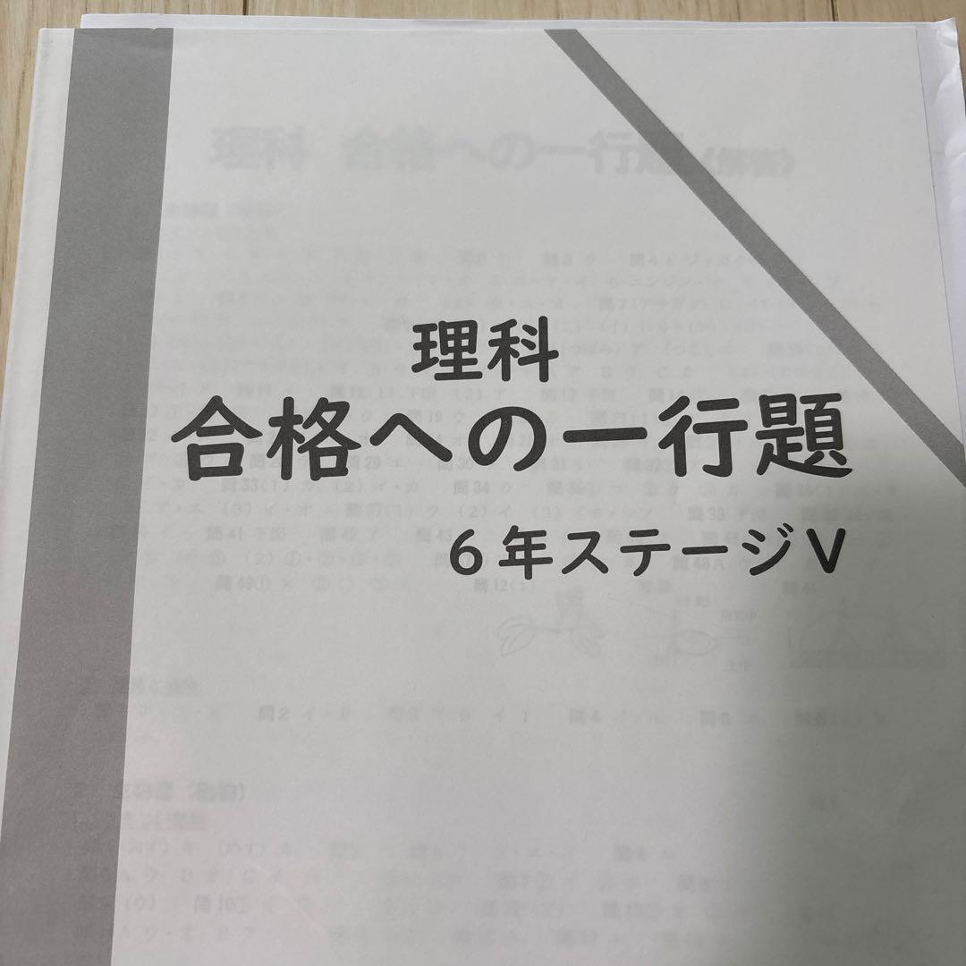 【未使用品】日能研 2024年度 6年生 　特別・選択講座問題集37冊セット