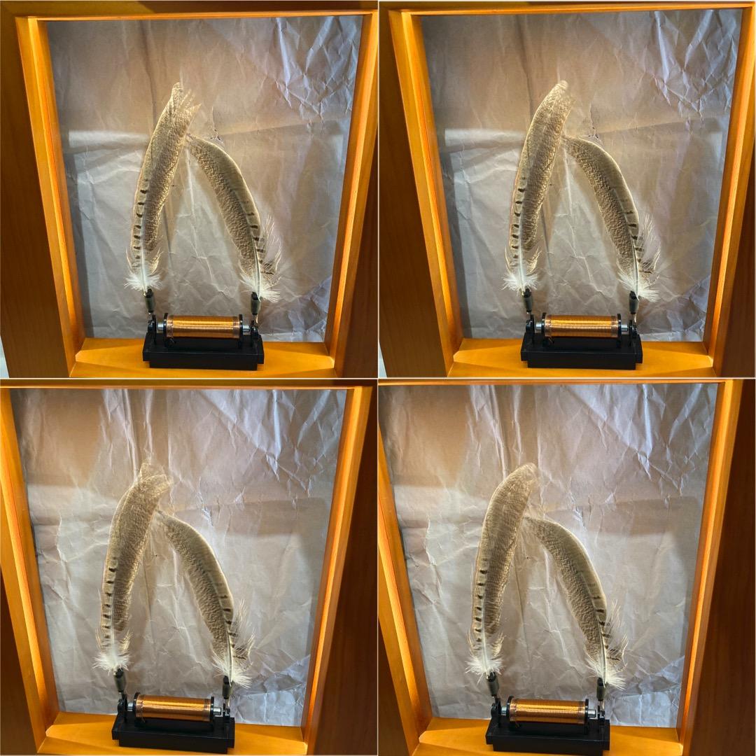 nbb02171　slow dance え！額縁の中のオブジェが動いてる