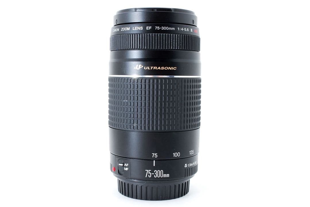 大望遠レンズ☆デジタル一眼レフカメラ☆Canon EF75-300 USM