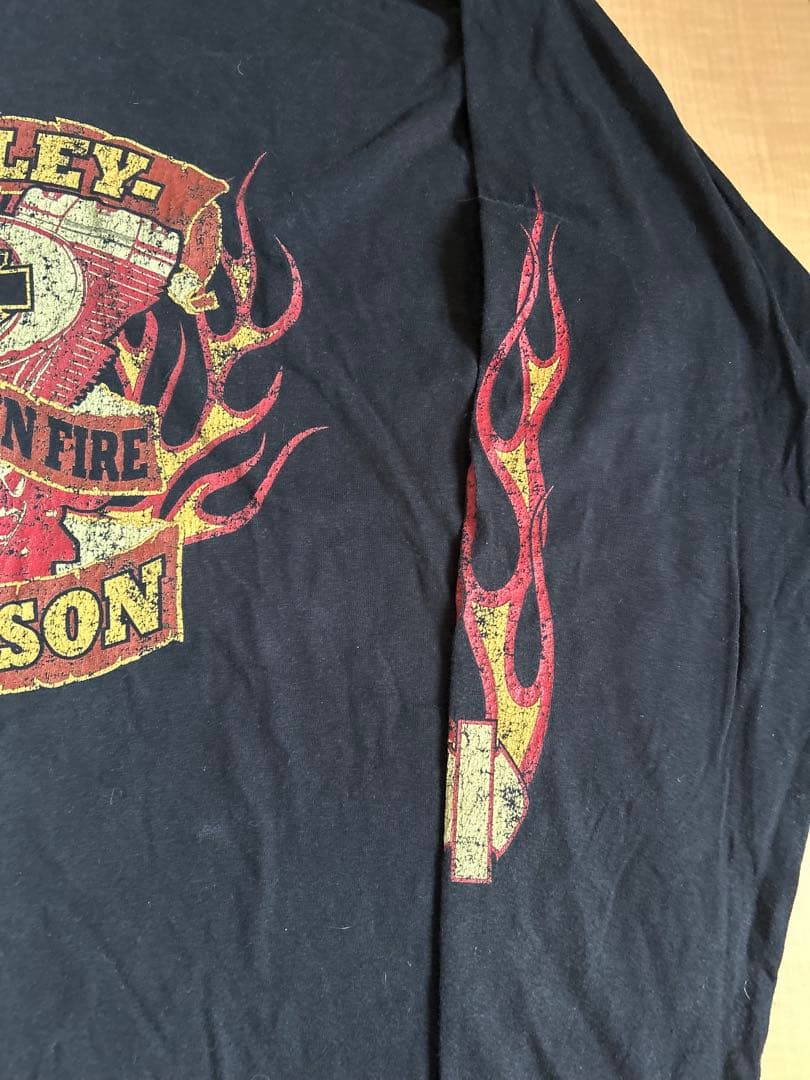 【希少サイズ】ハーレーダビッドソン フレイムスリーブ ロンＴ