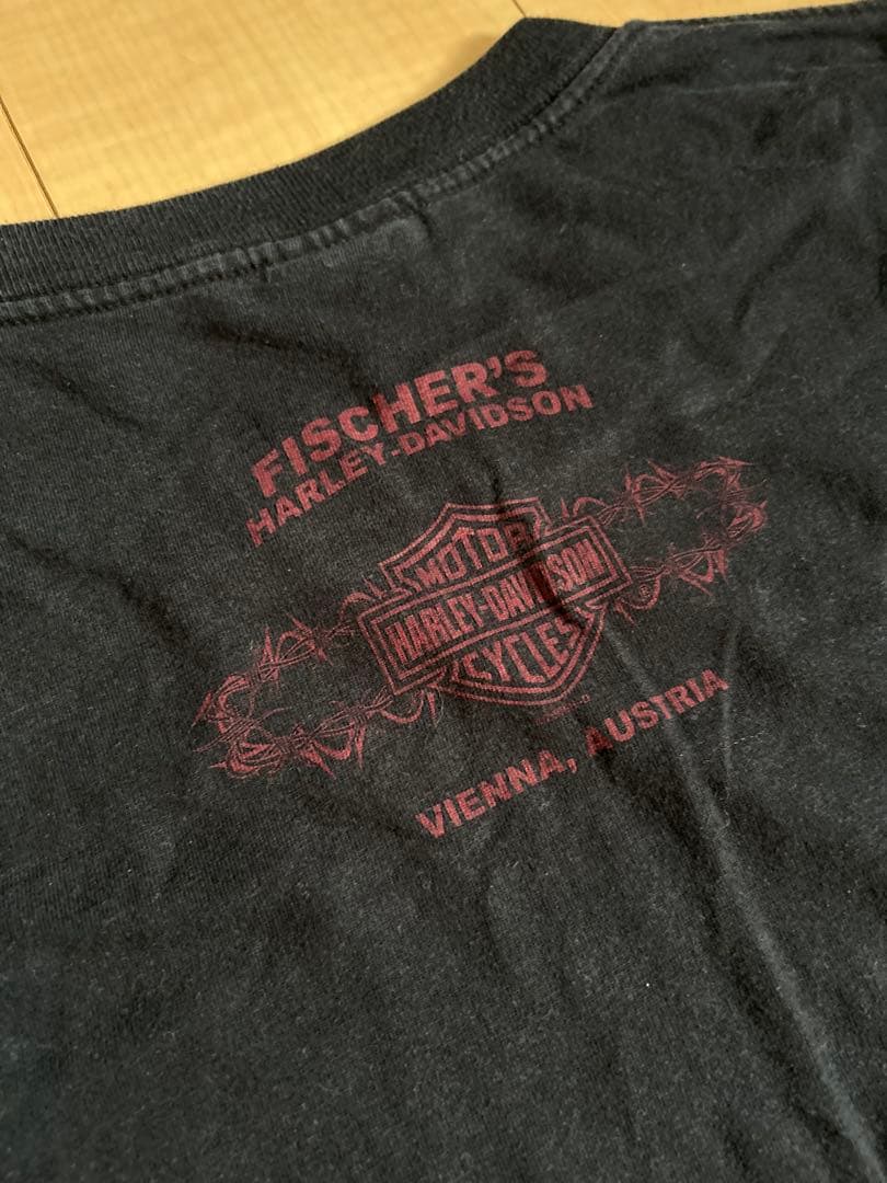 【希少サイズ】ハーレーダビッドソン フレイムスリーブ ロンＴ