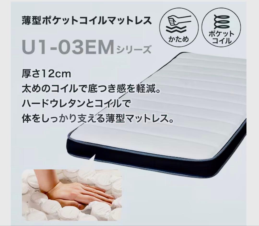 鮎【引取り限定（東京都板橋区）】ニトリ 大容量収納ベッド