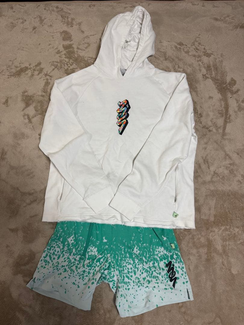 ザイオン　セットアップ