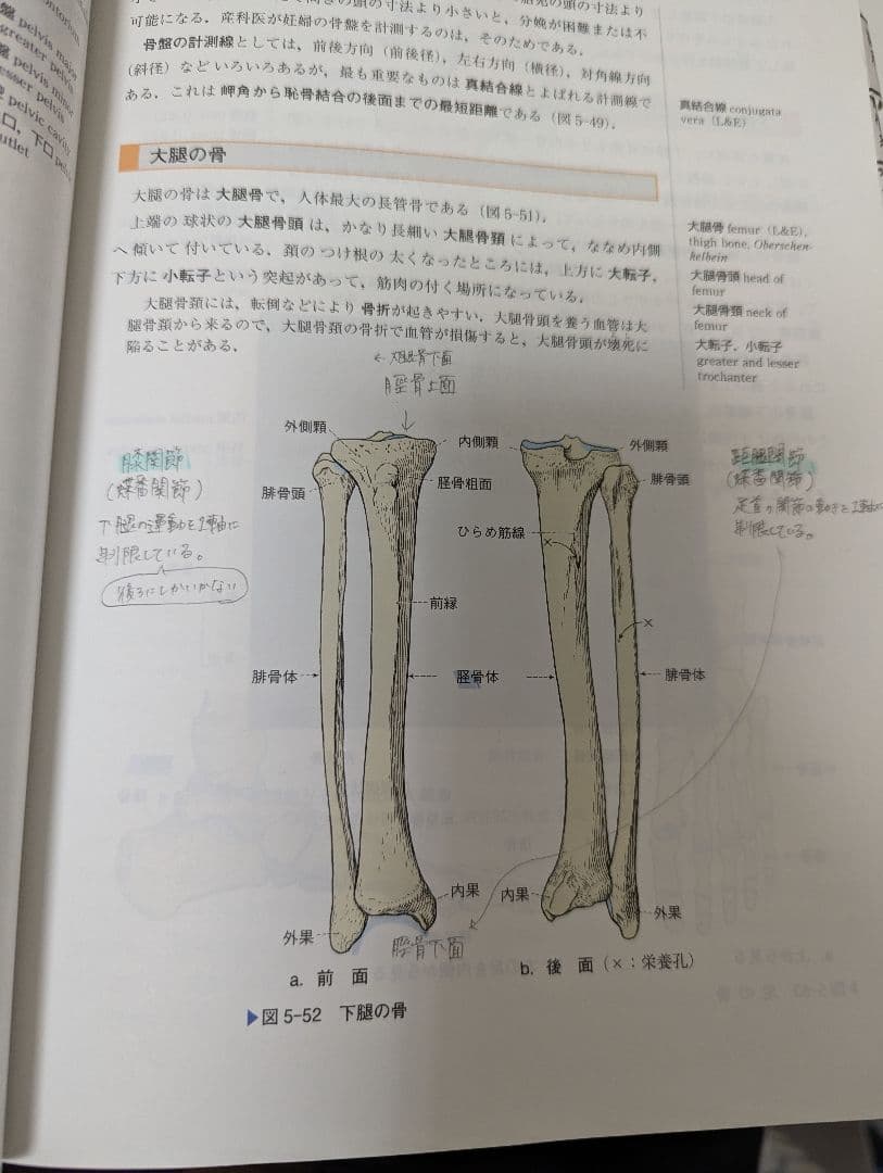【バラ売り可】栄養士 教科書 まとめ売り 書き込みあり