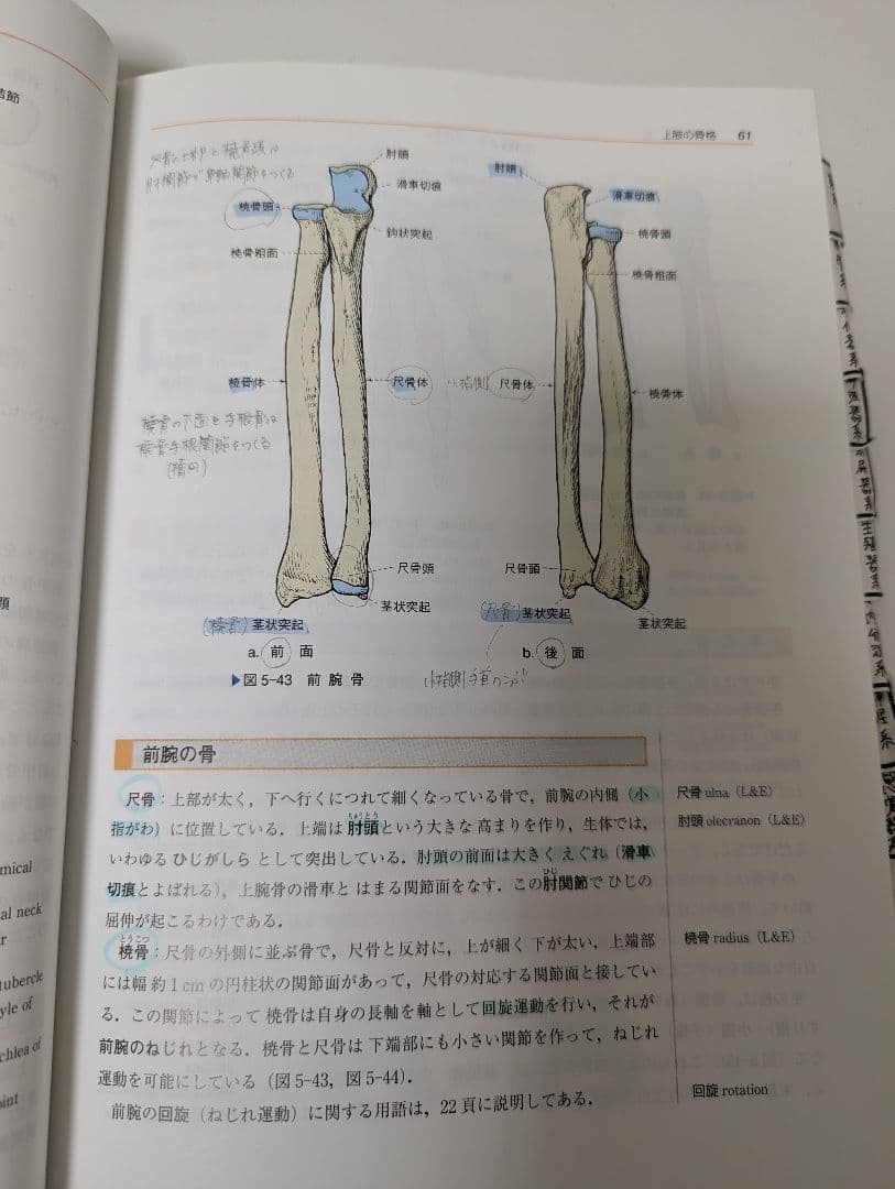 【バラ売り可】栄養士 教科書 まとめ売り 書き込みあり
