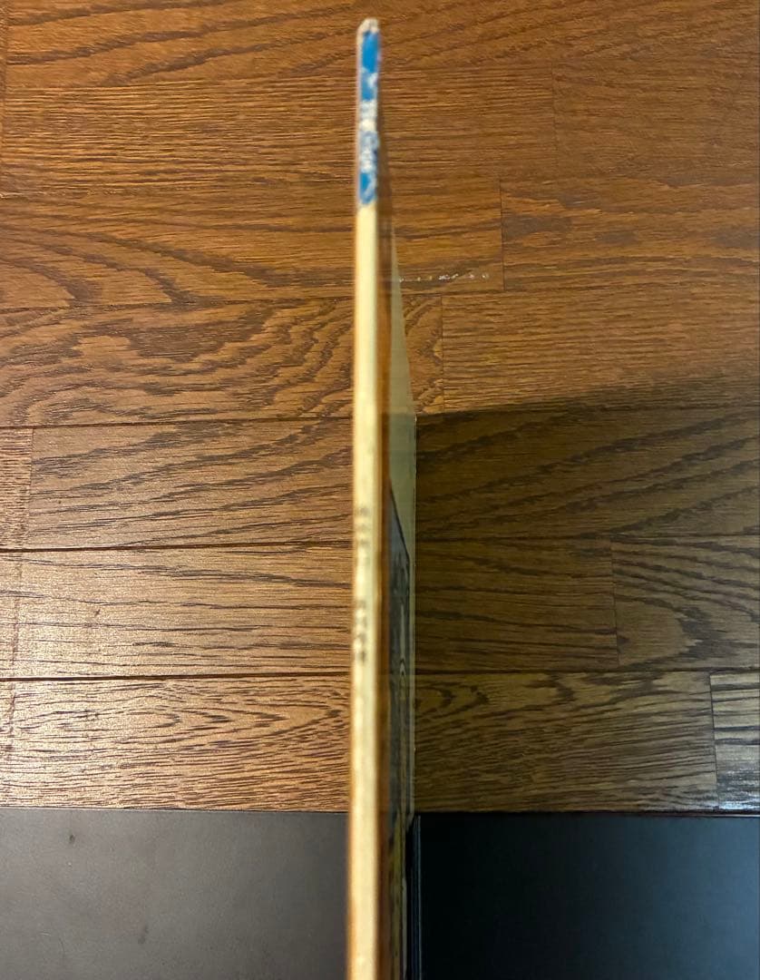 【LP レコード】西岡恭蔵 / 南米旅行