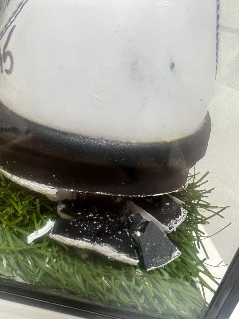 【証明書付】元西武 デストラーデ 実使用 スパイク