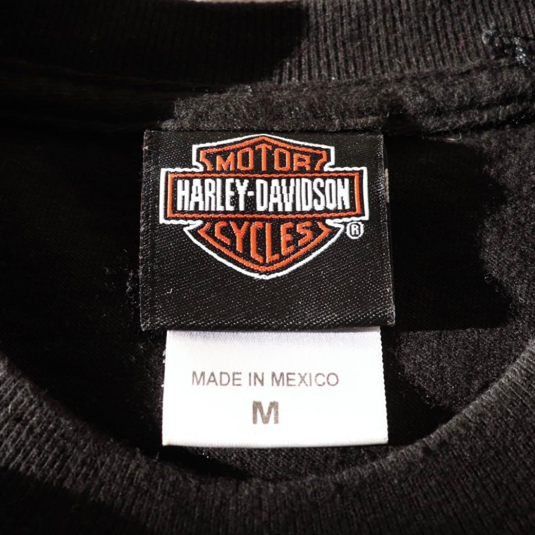 10s ハーレーダビッドソン TREASURE ヒョンソク着用 長袖 ロンT