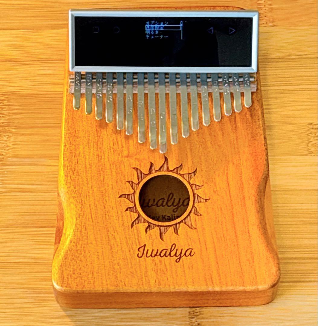 10/18～19限定セール【比較的美品】特価！kalimba GO カリンバ