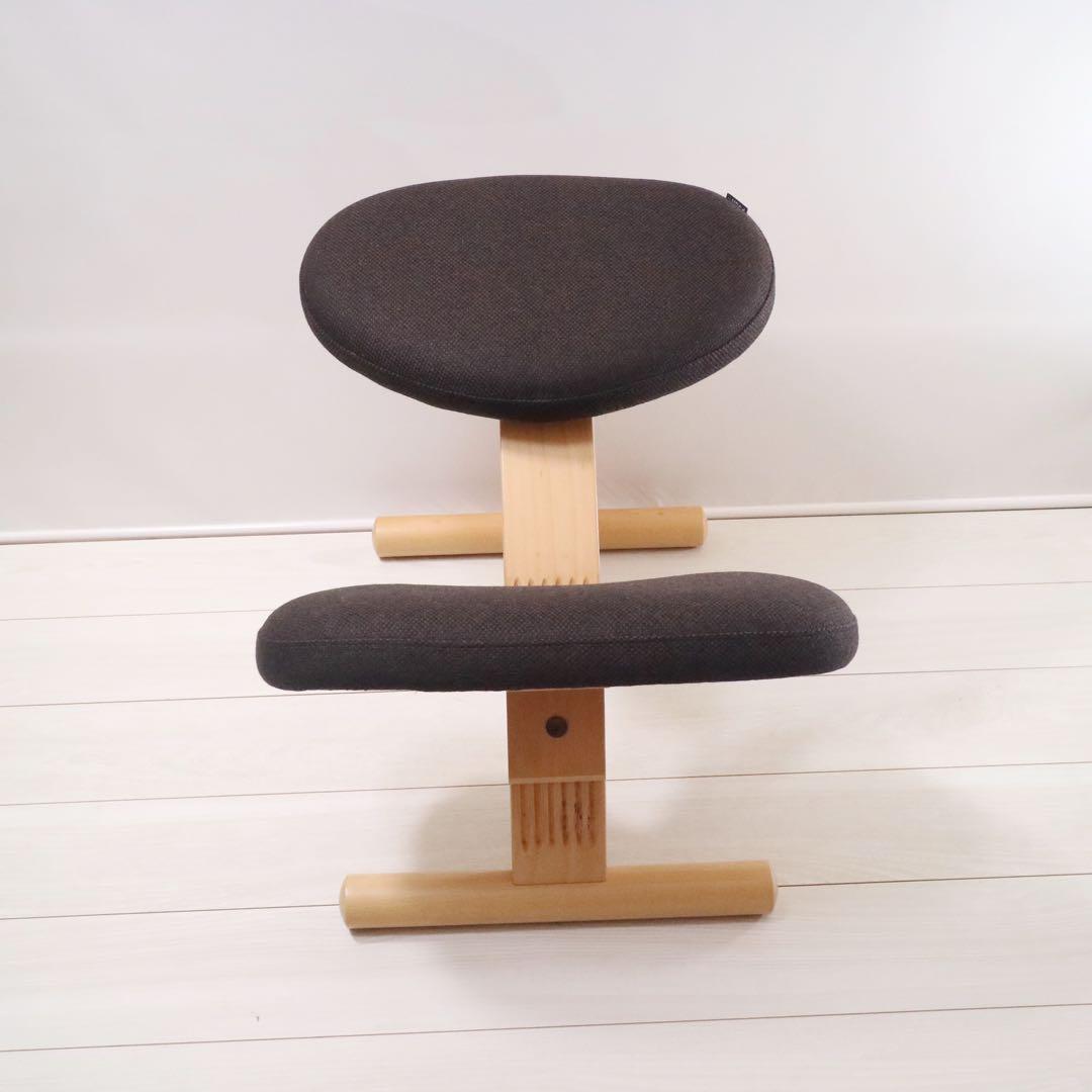 バランスイージー バランスチェア 通常フレーム 背筋矯正