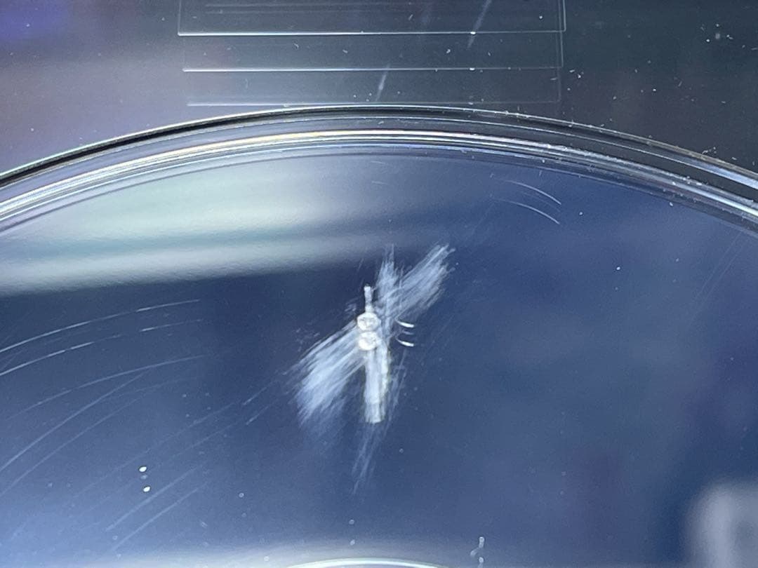 値下げ！【超激レア】発売記念付き SHARK 豪華版 〈初回限定生産・5枚組〉