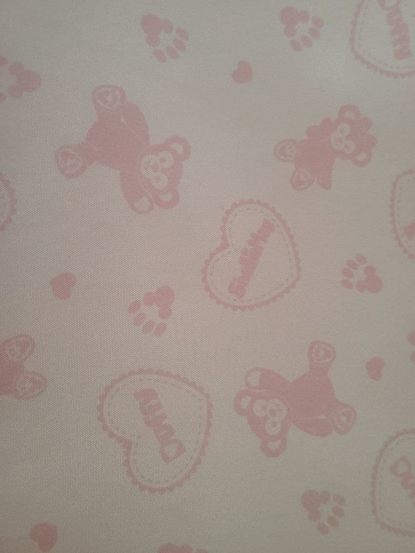 香港ディズニー限定 ダッフィー シェリーメイ キャリーケース