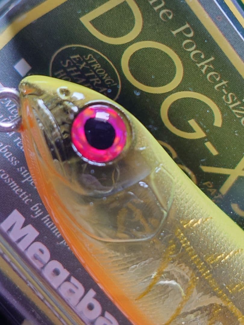 メガバス ドッグX JR. 限定カスタムカラー ホットチャートボーン 新品未開封