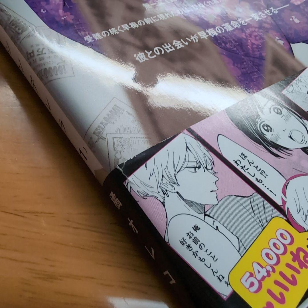 プロミス・シンデレラ 全巻セット