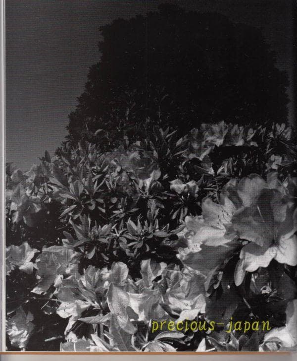 深瀬　昌久　撮影　写真集　hysteric Twelve