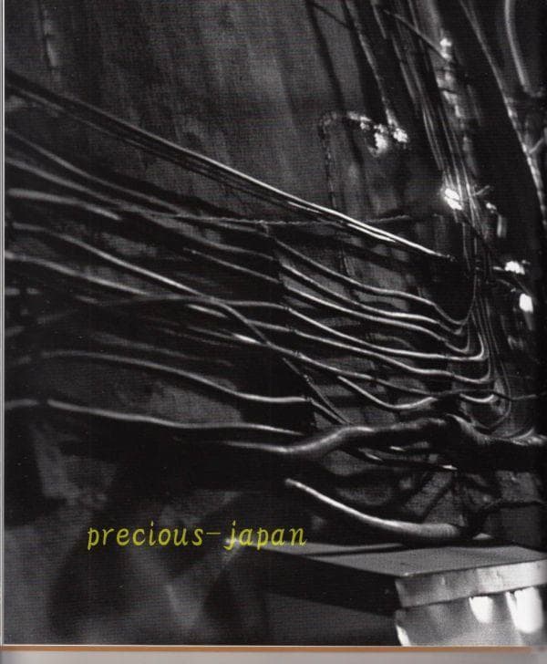 深瀬　昌久　撮影　写真集　hysteric Twelve