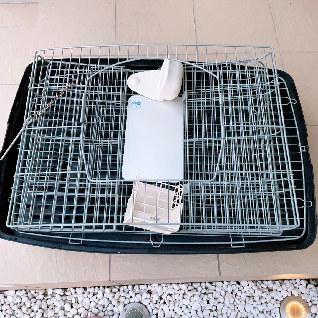 ☺︎サンコーゲージ☺︎