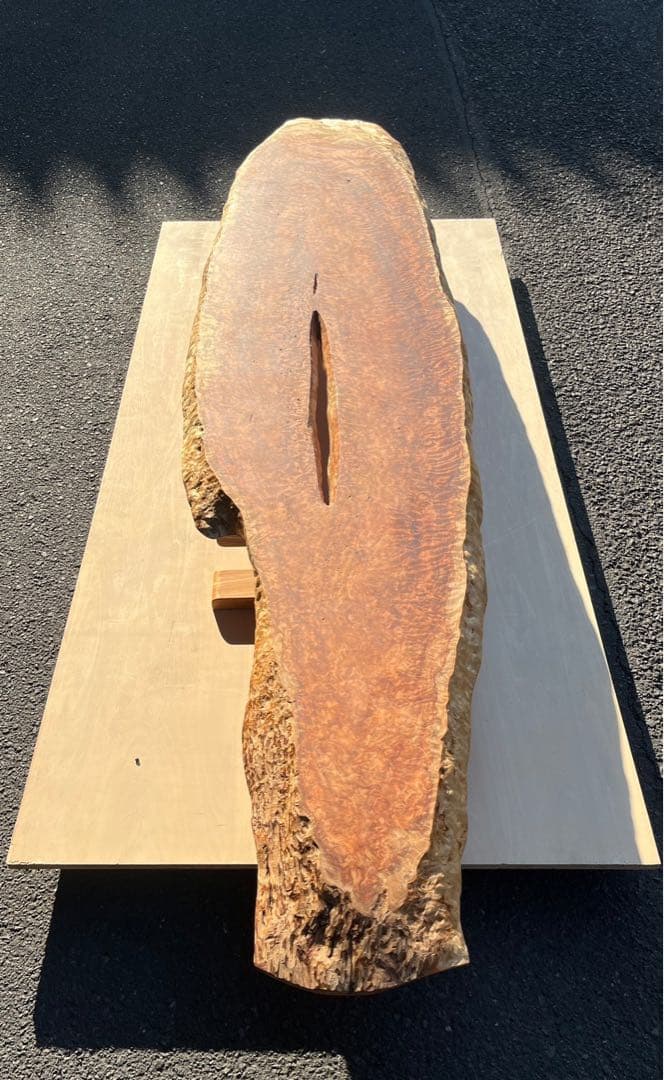 [たのメル便] 天杉　漣杢(さざなみもく) ローテーブル　無垢材　新品未使用