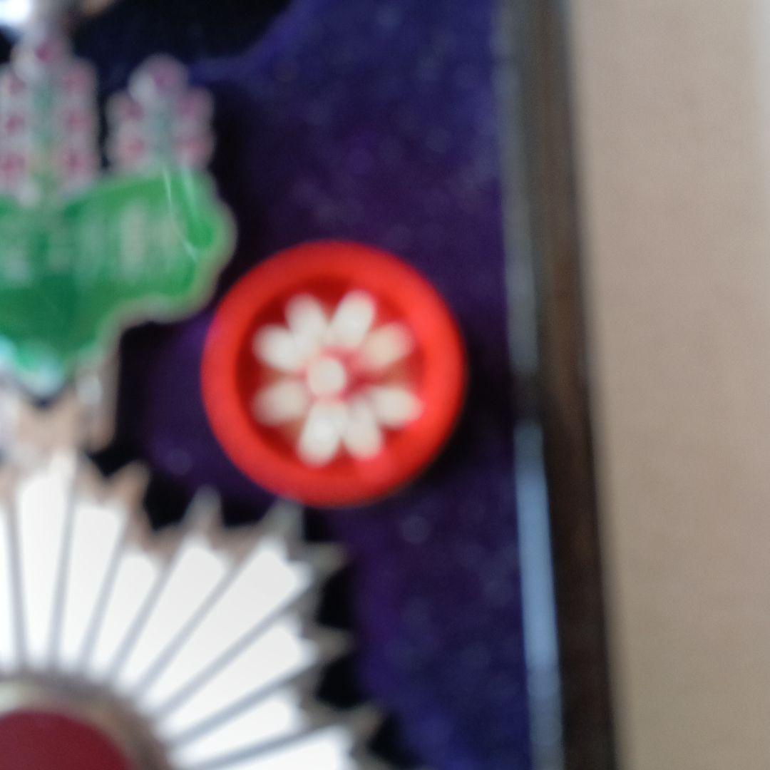 まっきー勲章です。