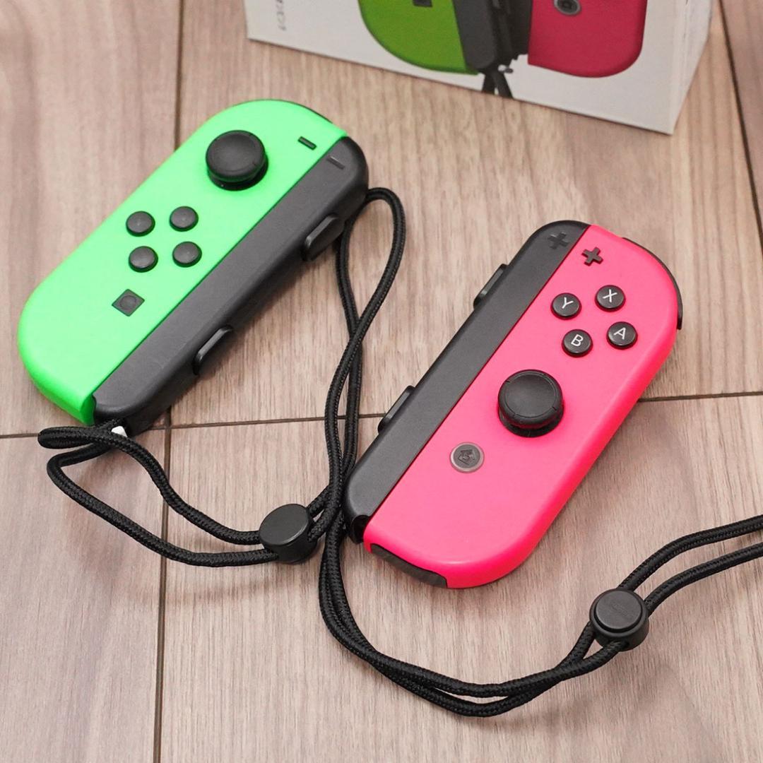 ニンテンドースイッチ あつまれどうぶつの森セット ジョイコン2個 ドッグ1式付き