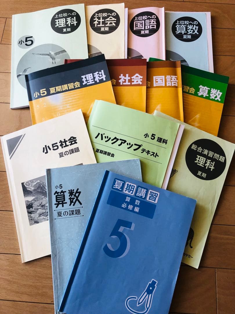 早稲田アカデミー☆小5 夏期講習会テキスト 国語 理科 社会
