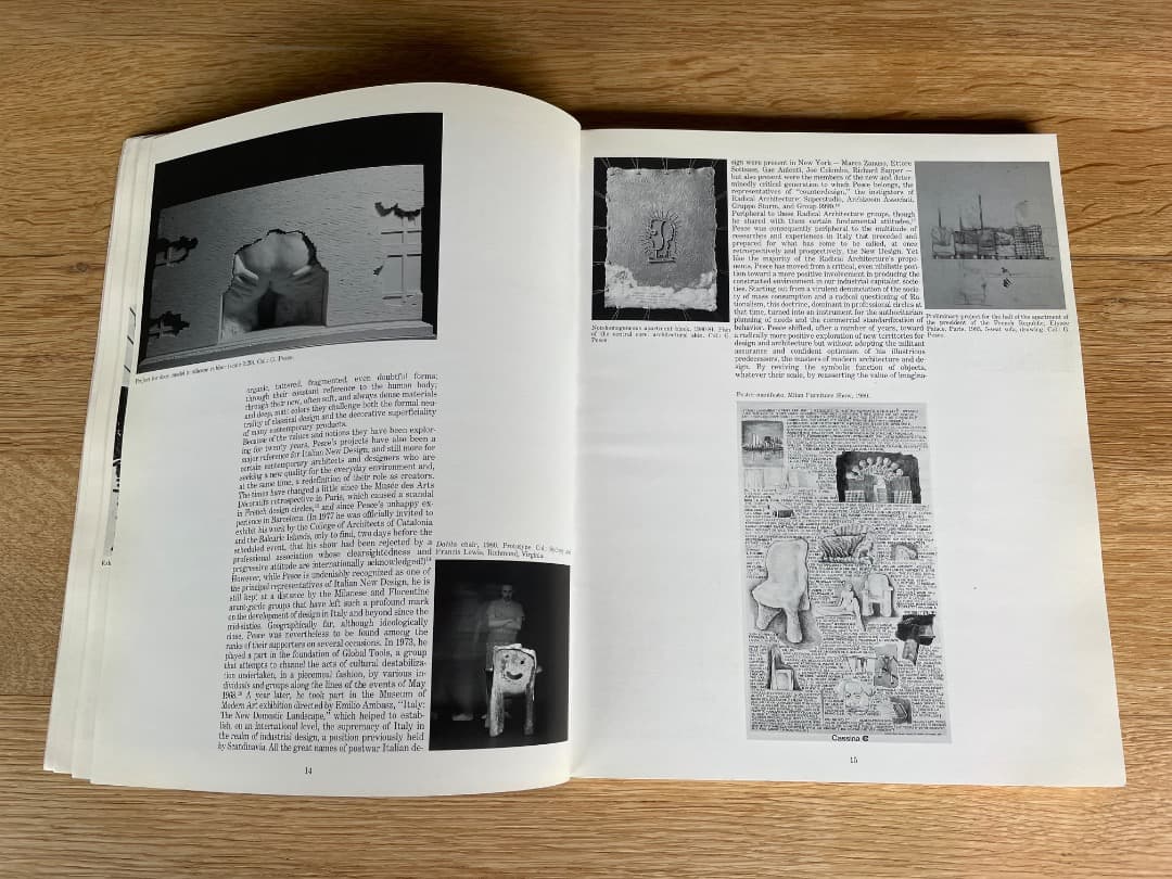 稀少本　GAETANO PESCE　ガエターノ・ペッシェ