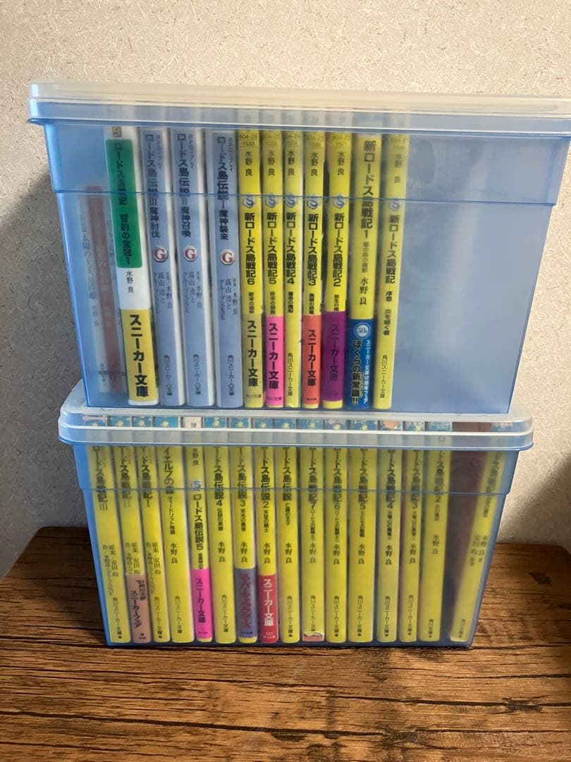 ロードス島戦記31巻セット+α　まとめ売り　水野良著