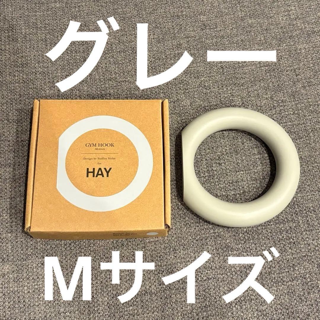 週末限定15%オフ 廃盤 HAY GYM HOOK Mサイズ グレー