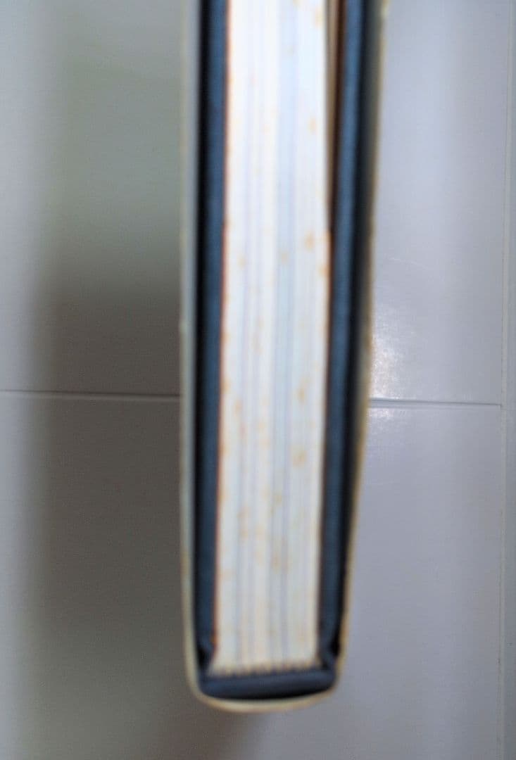 【希少品】痴虫 2号　 佐伯俊男作品集