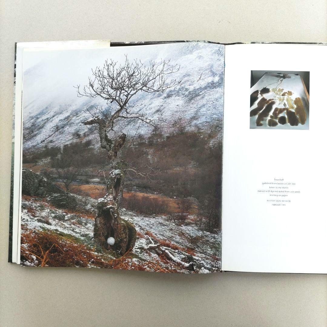 WOOD Andy Goldsworthy/アンディ・ゴールズワージー 作品集