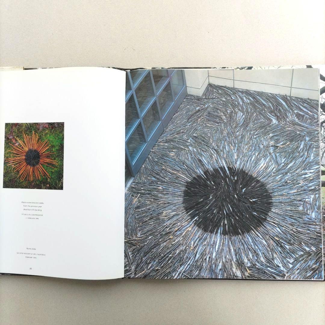 WOOD Andy Goldsworthy/アンディ・ゴールズワージー 作品集