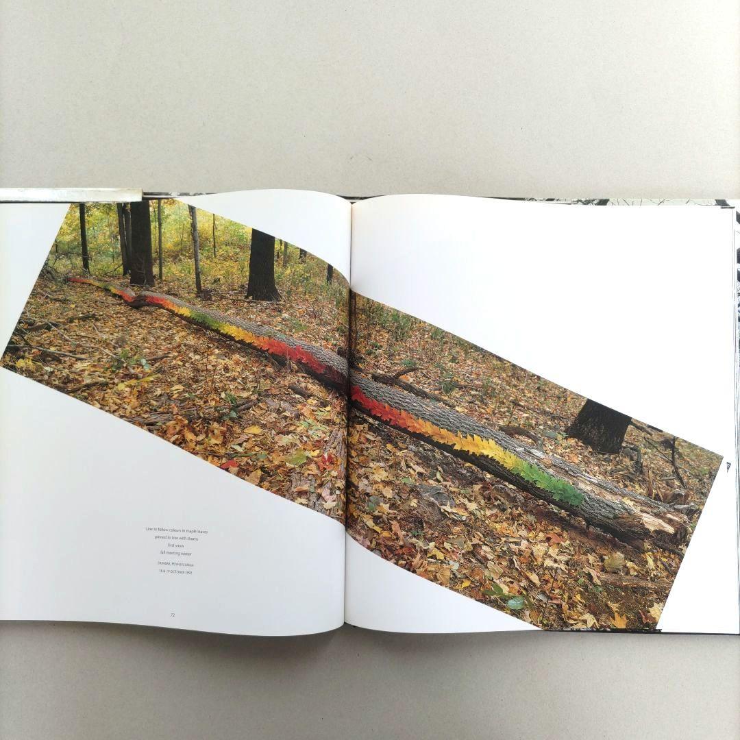 WOOD Andy Goldsworthy/アンディ・ゴールズワージー 作品集