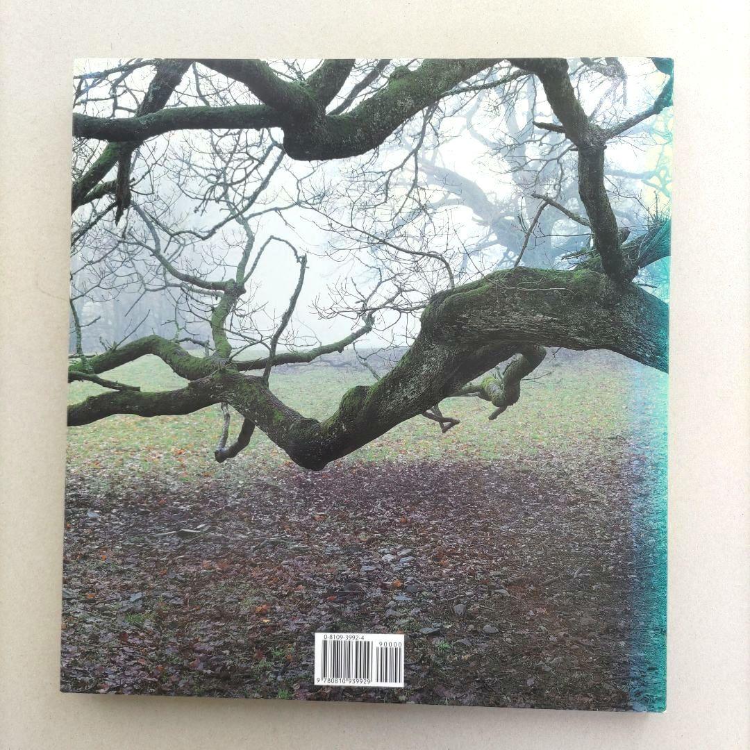 WOOD Andy Goldsworthy/アンディ・ゴールズワージー 作品集