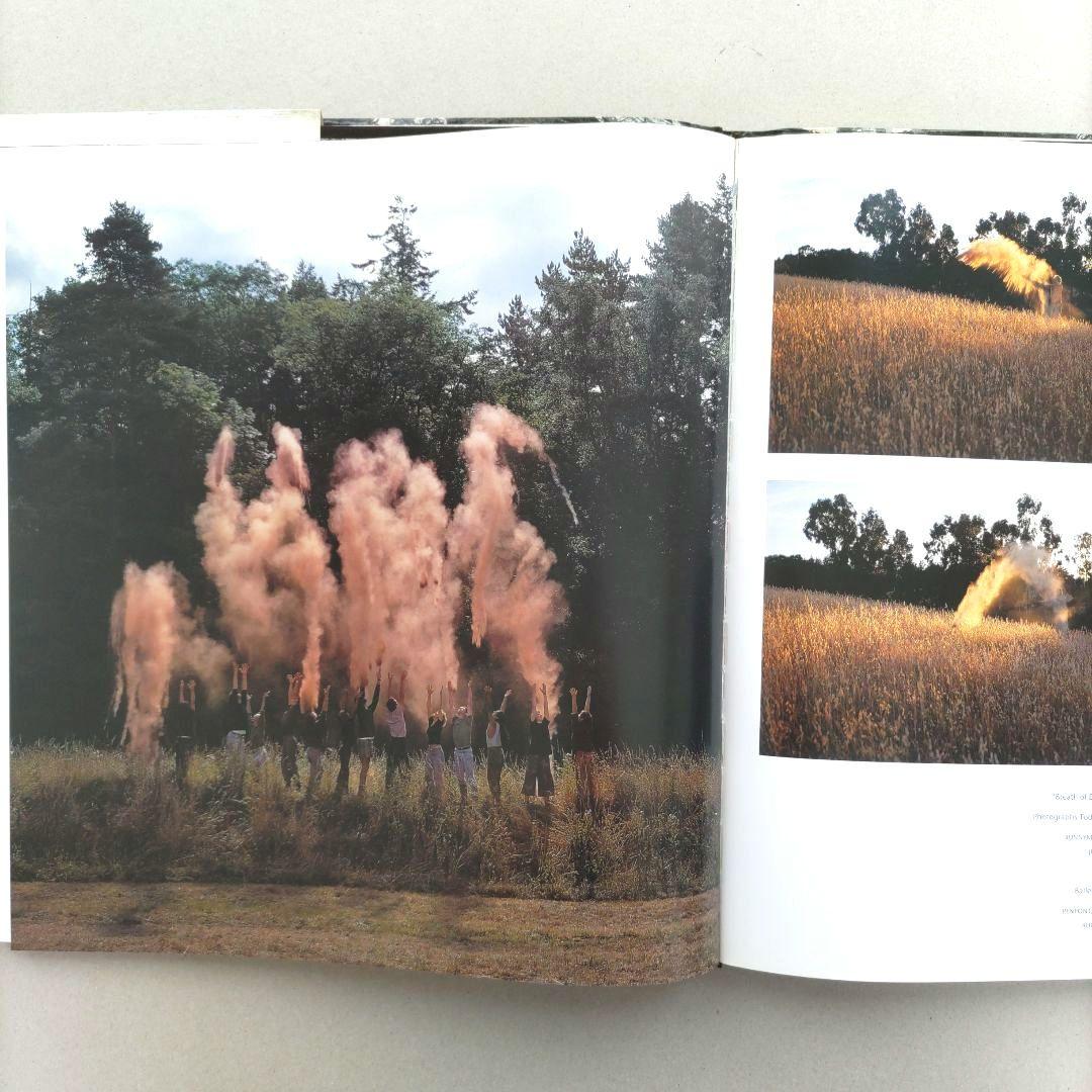 WOOD Andy Goldsworthy/アンディ・ゴールズワージー 作品集